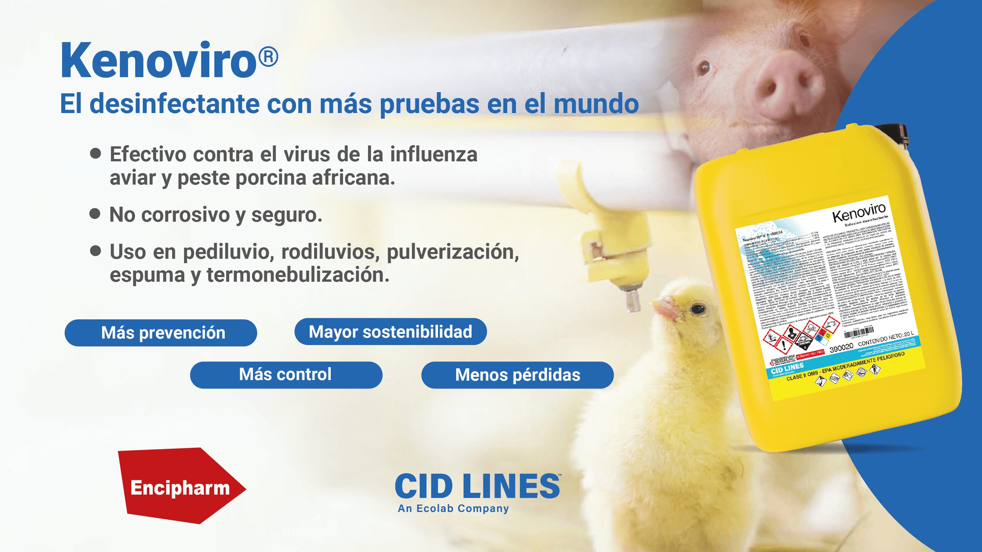 Chile refuerza medidas de bioseguridad ante nueva alerta por Influenza Aviar