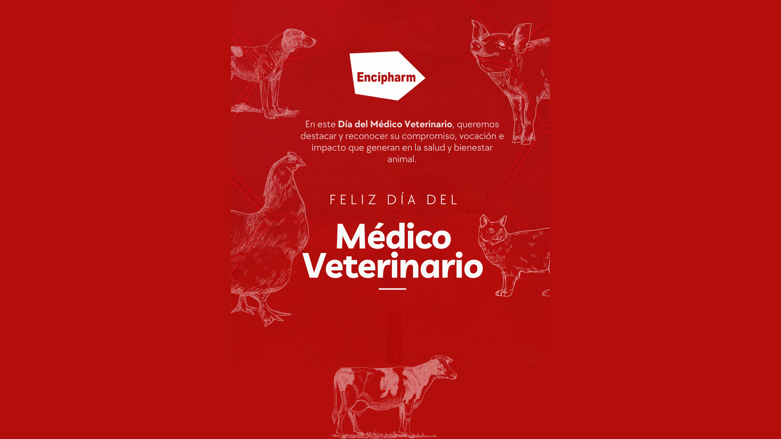 Día del Médico Veterinario: Reconocemos su compromiso con la salud y el bienestar animal